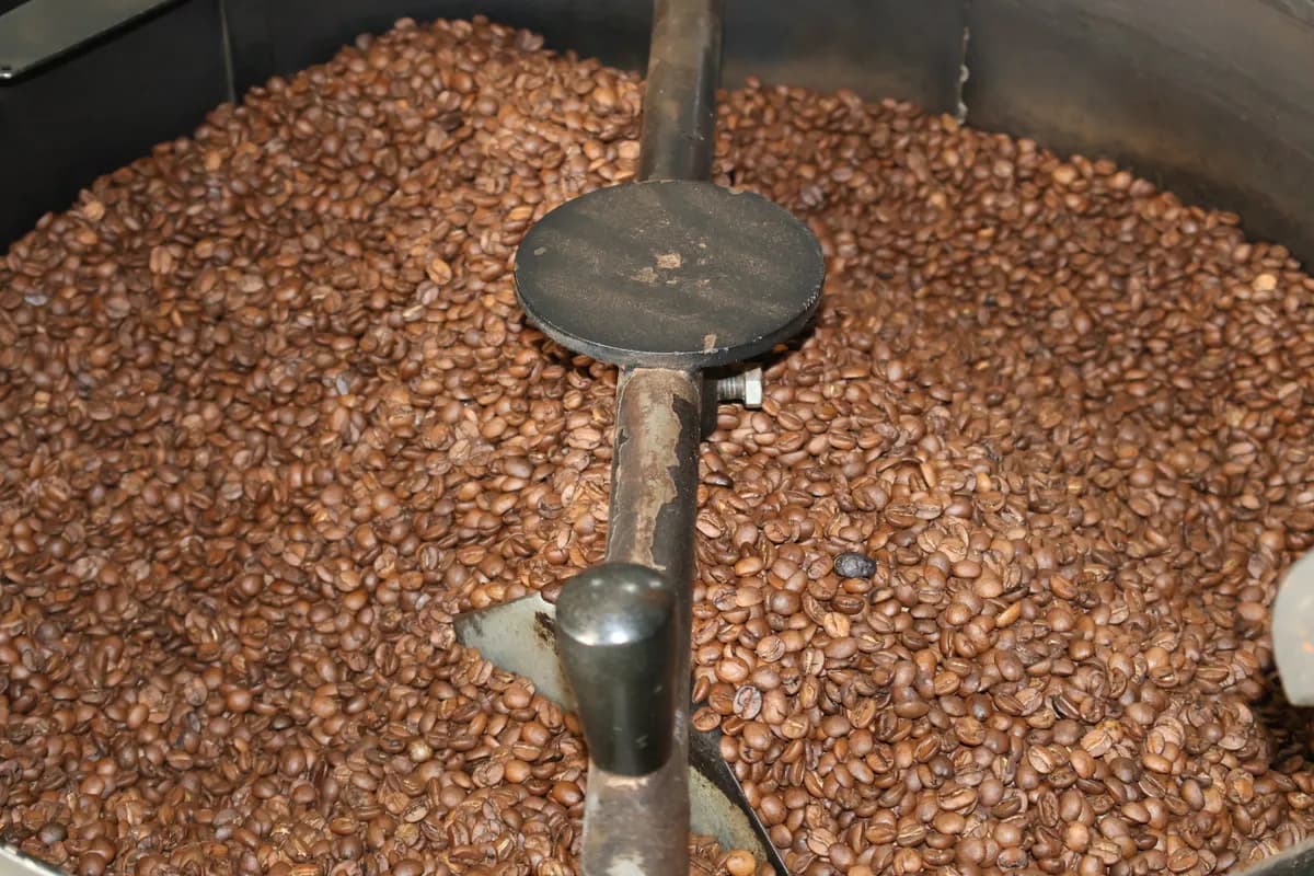 Miniatura 2 de Café Aguimar